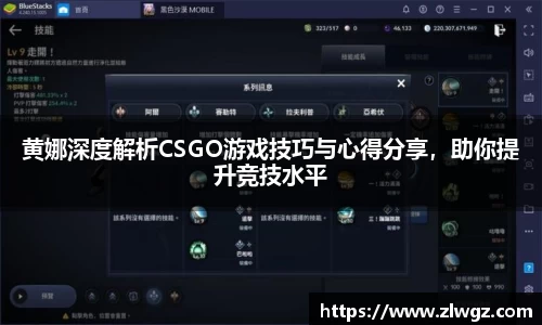 黄娜深度解析CSGO游戏技巧与心得分享，助你提升竞技水平